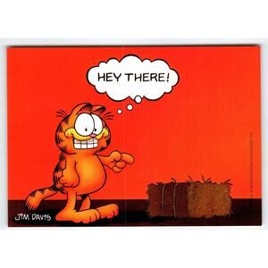 Garfield Cat Postcard Hey There Hay Jim Davis Comic Orange Tabby 1978 Cartoon